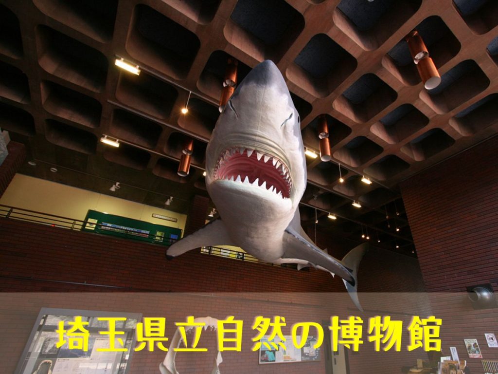 埼玉県立自然の博物館