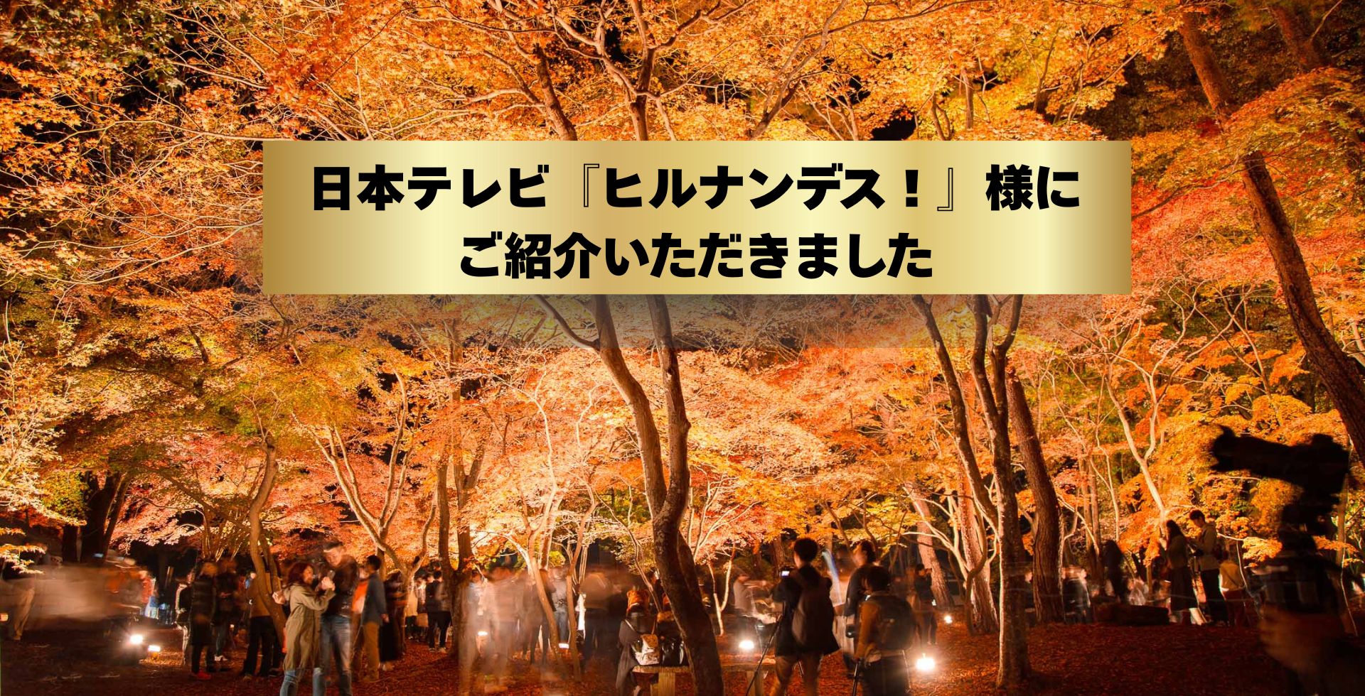 メインビジュアル画像