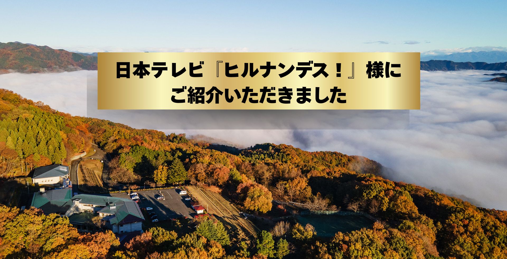 メインビジュアル画像