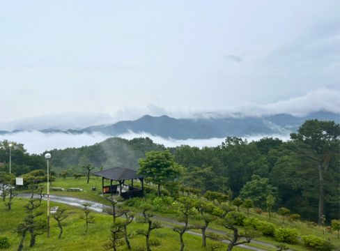 客室周辺から望む雲海の景色