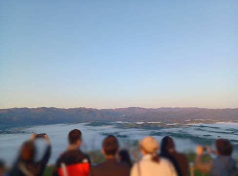 美の山から望む春の雲海