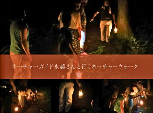 ネーチャーウォーク